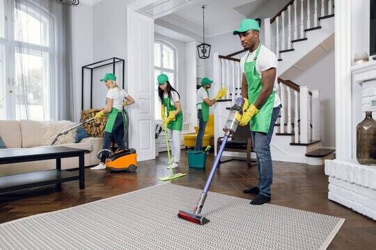 Very Successful Eco Domestic Cleaning Business Edinburgh Ref  2007 Photo 1