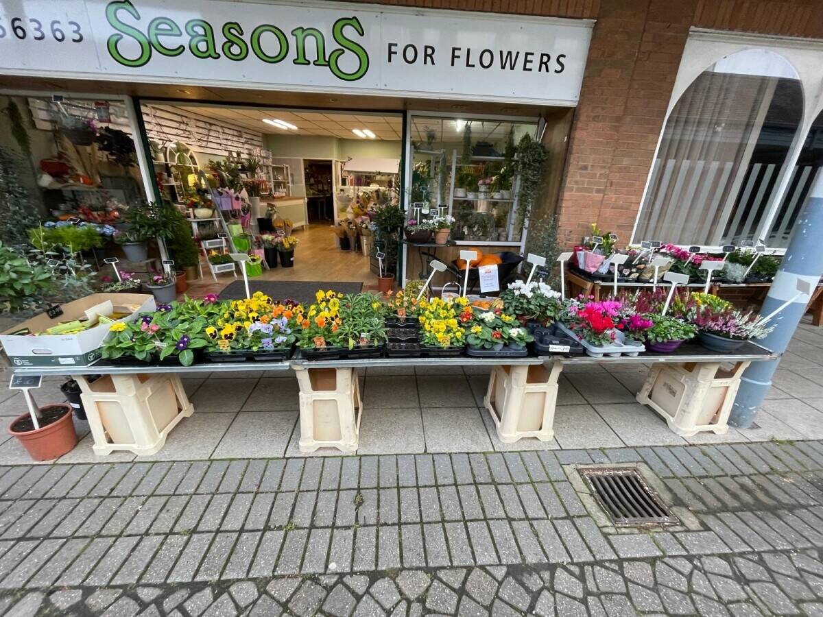 Established Florist Business for Sale – Park Farm, Allestree (Derby)  Photo 1