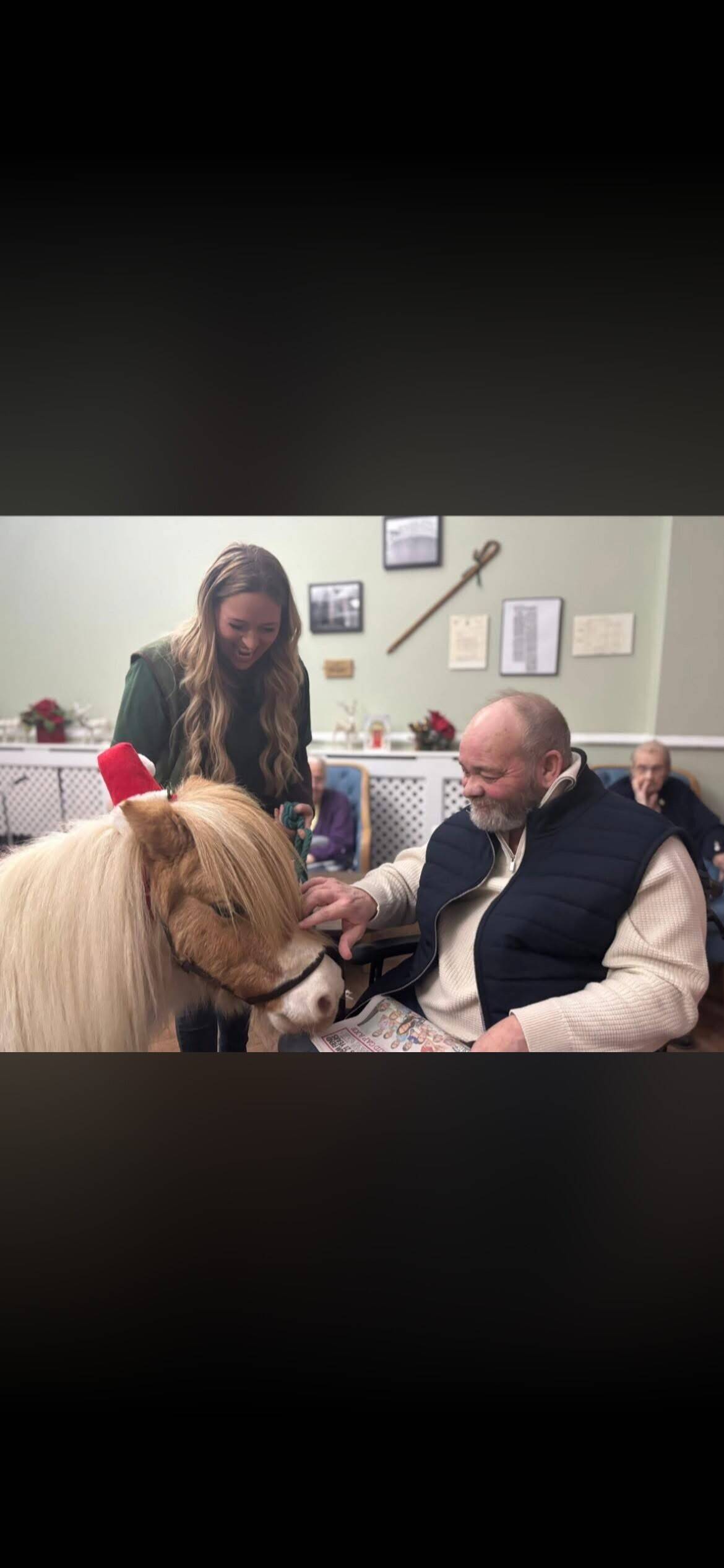 Miniature Pony Event Party Provider Business