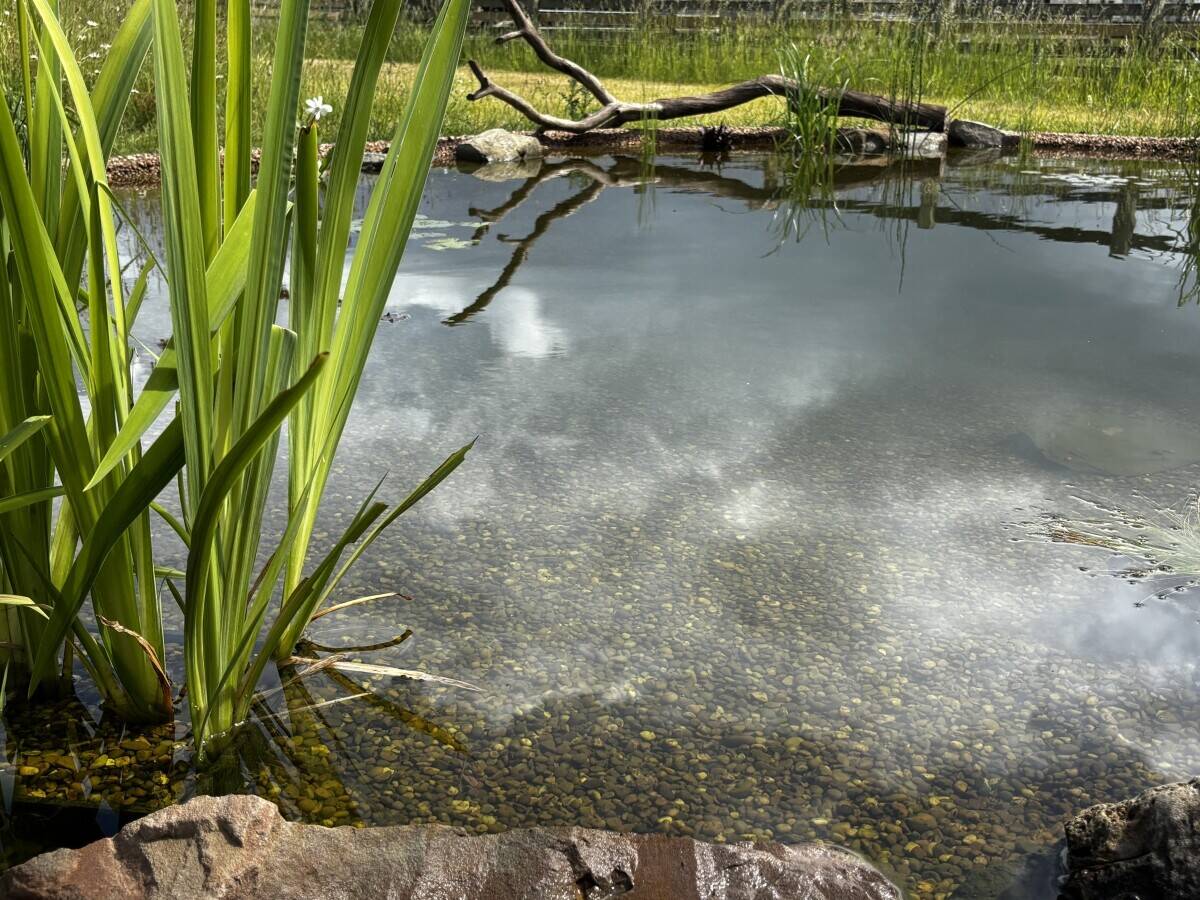 Specialist water feature construction business 