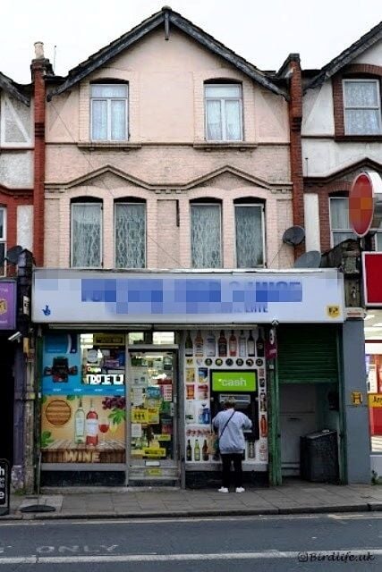 Off Licence, Slight Convenience Groceries And Oyster for Sale