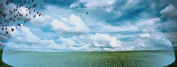 INTERNATIONAL DESIGNER & SUPPLIER OF PREMIUM BIRD SCARING SYSTEMS INTERNATIONAL DESIGNER & SUPPLIER OF PREMIUM BIRD SCARING SYSTEMS