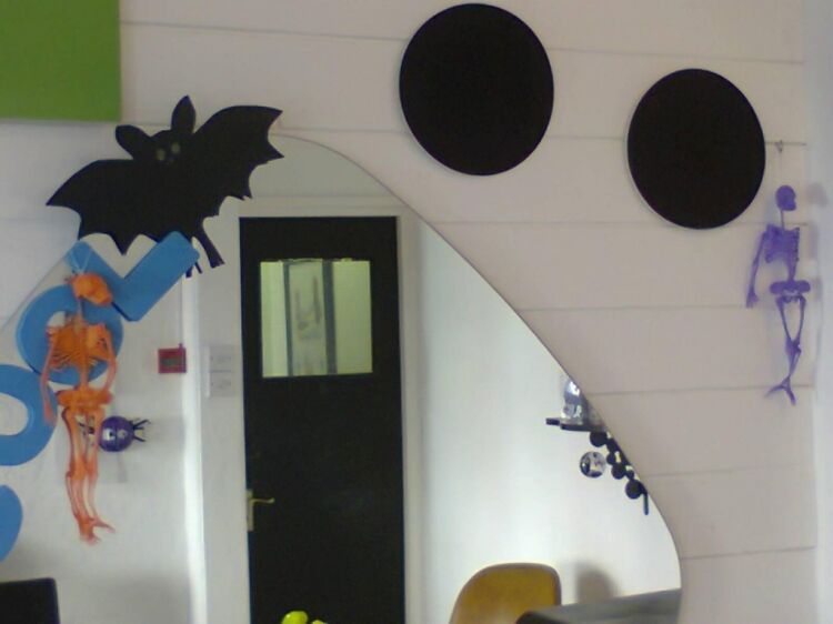Thriving Specialist Children’s Hair Salon open to offers