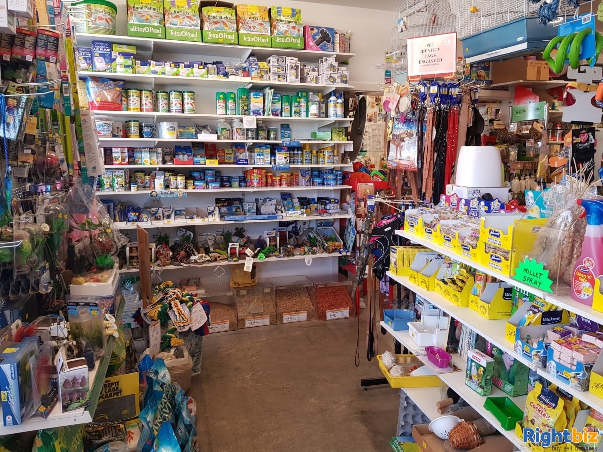 Pet Shop for Sale, Investment opportunity