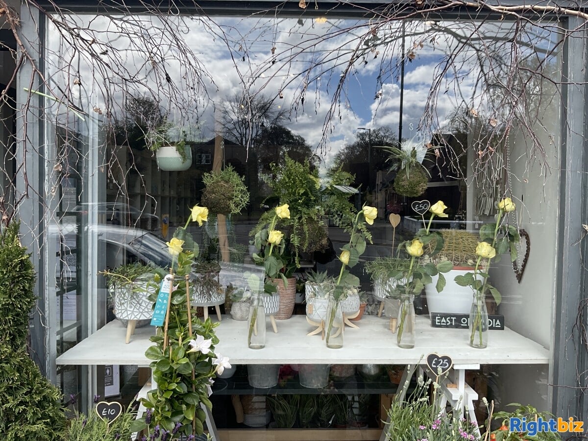 Well Established Florist / Giftware Shop