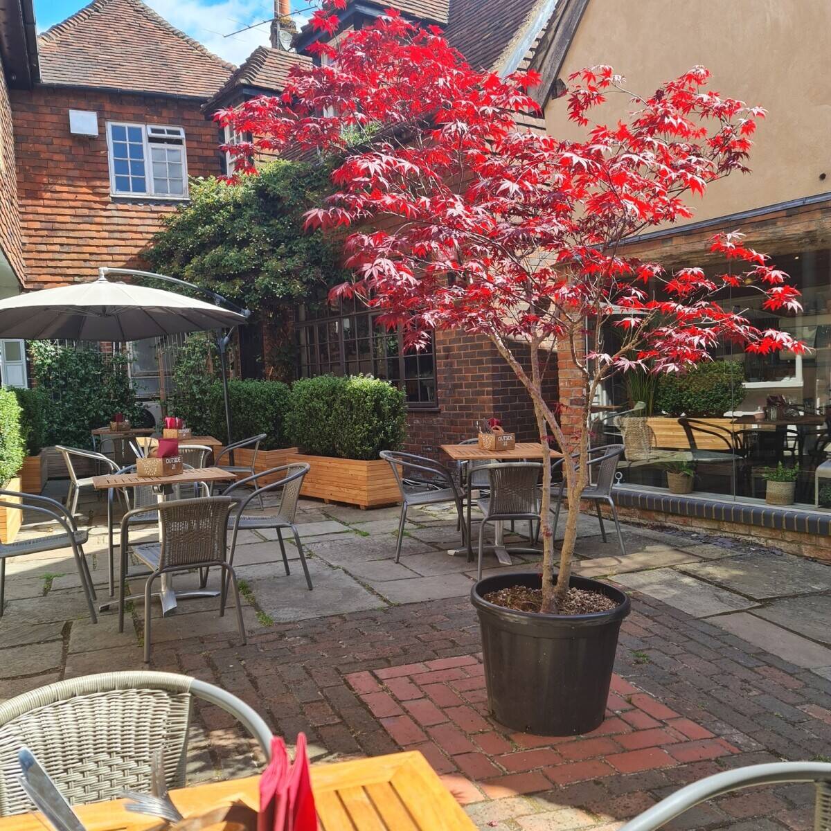 Brunch-style restaurant coffee shop with side delicatessen in the Heritage commuter town of Westerham, Kent Photo 9