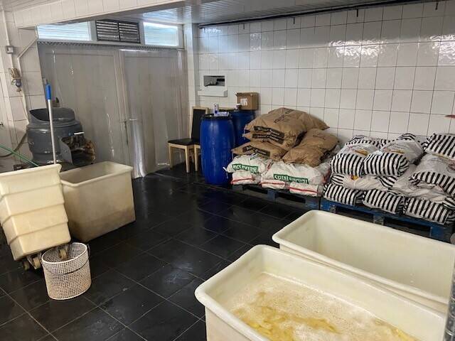 High Turnover Traditional Fish & Chip Takeaway Worcester Worcestershire Photo 10