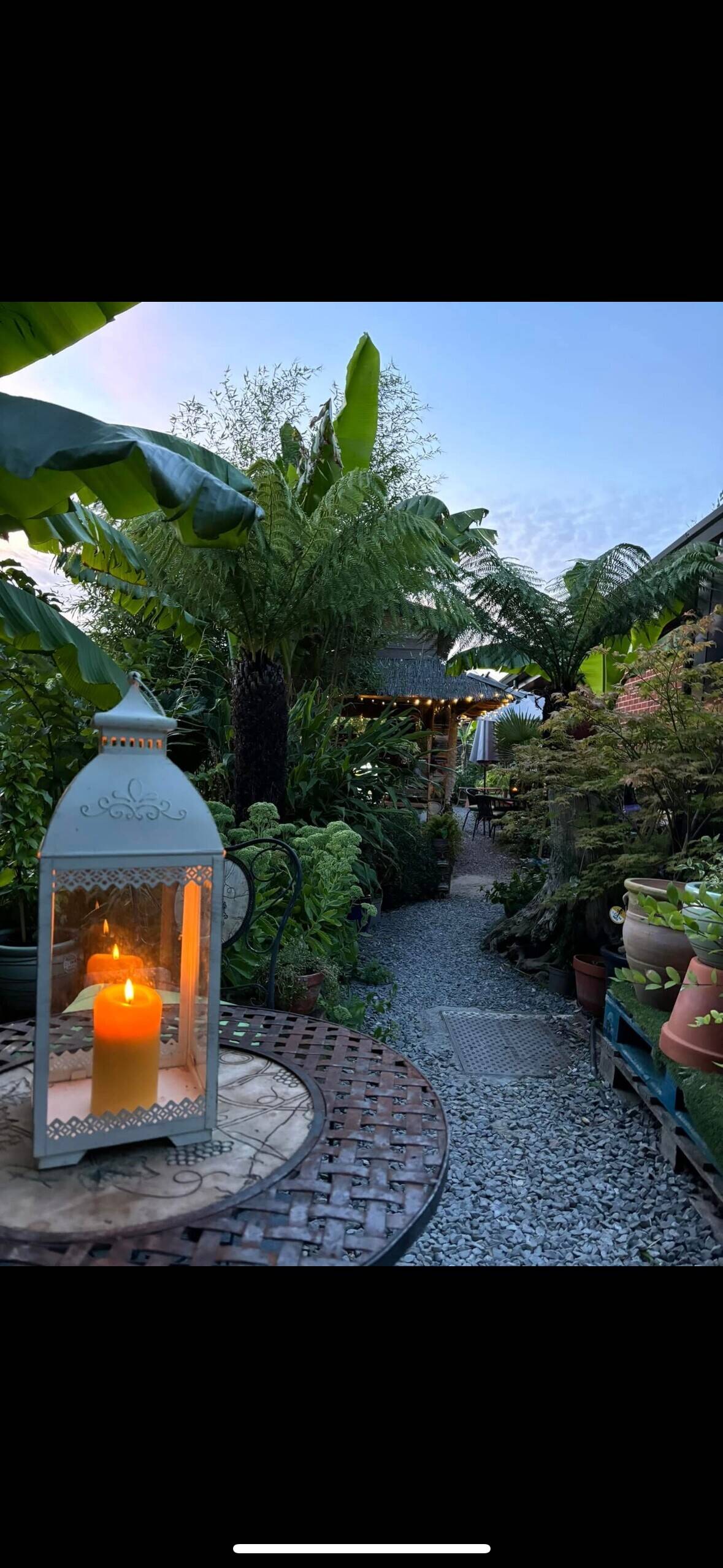 Garden centre and jungle cafe Photo 8