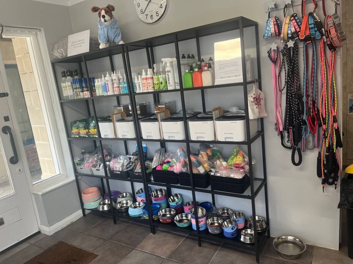 Doggie Wash and Grooming in Dorchester Photo 10