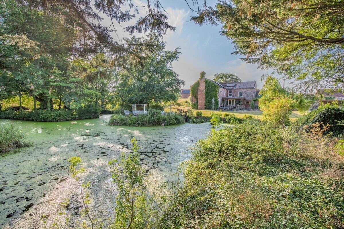 Farm House plus The Retreat -  Thriving Guest Business that sleeps 16 Photo 10