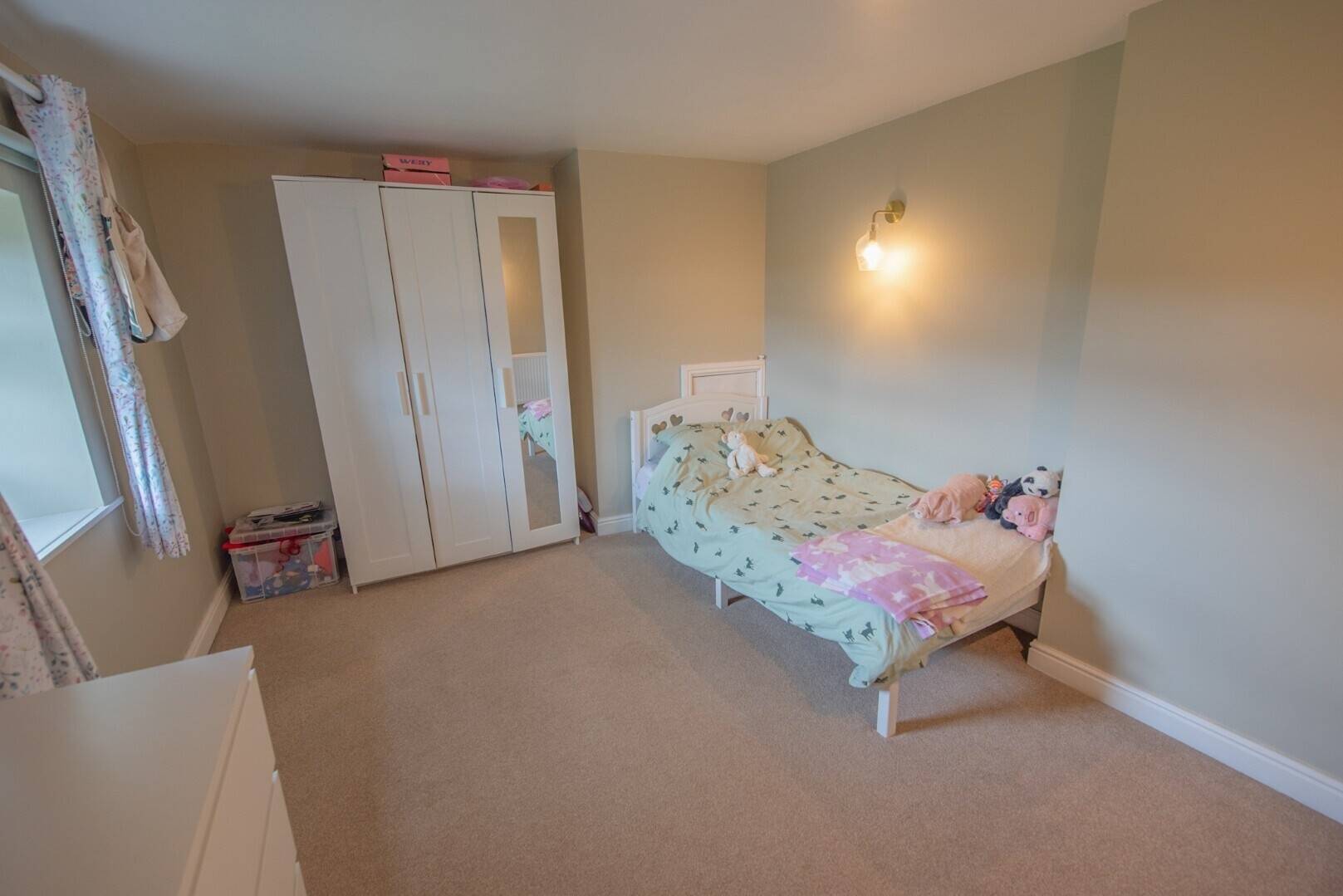 Very Well-known, Family Run, Highly Regarded Cattery