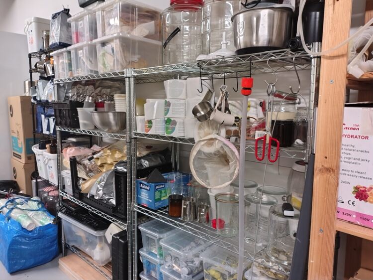 A Fresh Opportunity in the World of Kombucha Brewing Photo 10