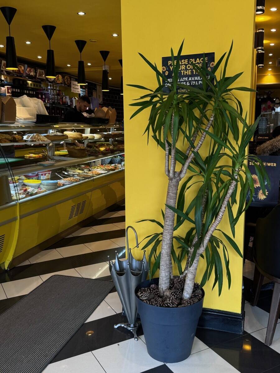 The Sunflower Caf&eacute; & Cr&ecirc;perie &mdash; Business For Sale Photo 10