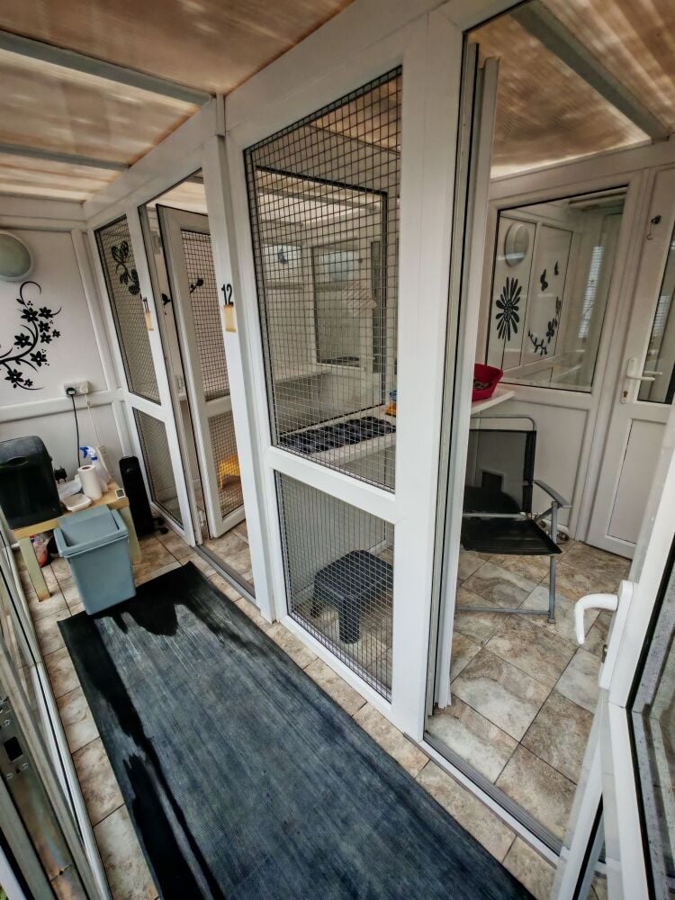 5-Star Licensed Cattery - Capacity for 30 Cats - Nottingham
