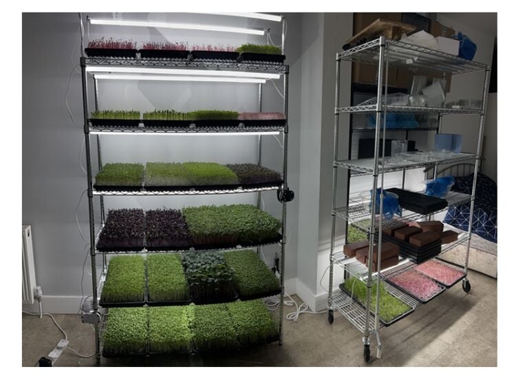 Home-Grown Opportunity – Profitable Indoor Microgreens Farm Photo 10