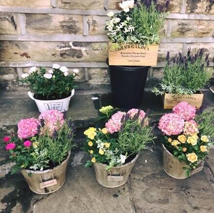 Very Well-Known Flower Shop Business Photo 10