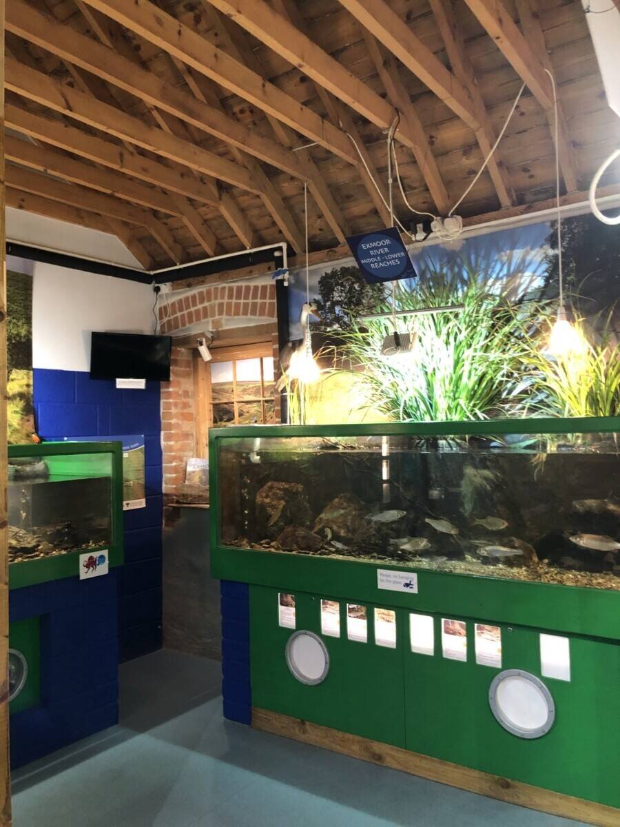 Award Winning & Unique Aquarium with Cafe & Gift Shop - North Devon Seaside Town
