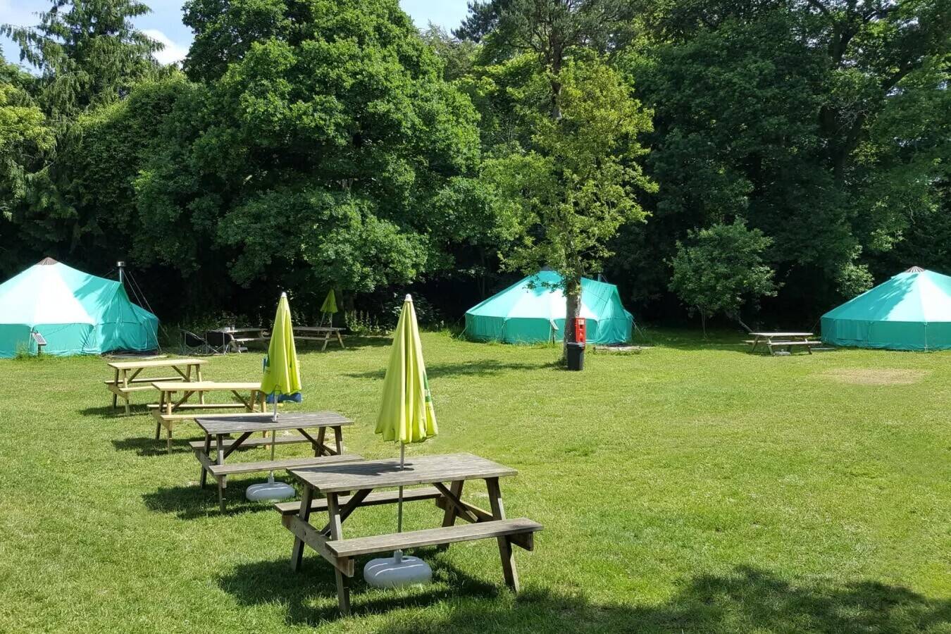 YHA NEW FOREST - 33 BED HOSTEL IN SOUGHT-AFTER VILLAGE Photo 10