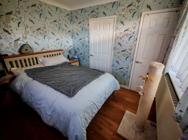 5-Star Licensed Cattery with Freehold Bungalow - Eastwood, Nottingham Photo 10