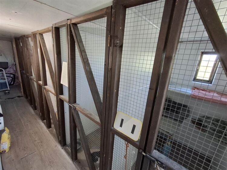 Kennels, Cattery & Equestrian businesses For Sale in Poulton-le-Fylde Photo 10