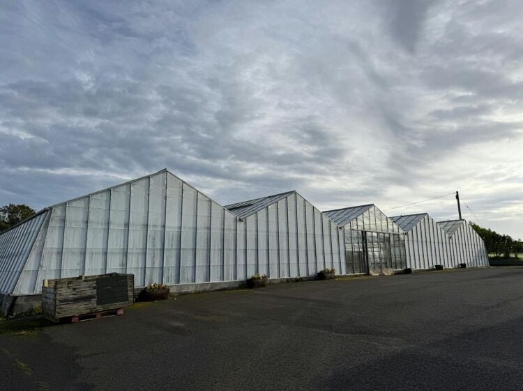 Family-run nursery and plant centre for sale in Mauchline East Ayrshire