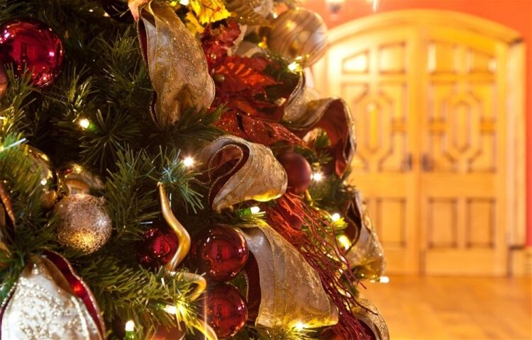 A SPECIALIST IN DESIGNING AND INSTALLING CHRISTMAS LIGHTING DISPLAYS Photo 11