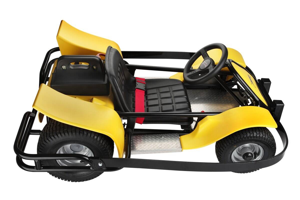 Panther electric karts go-karts...your route to success Photo 11