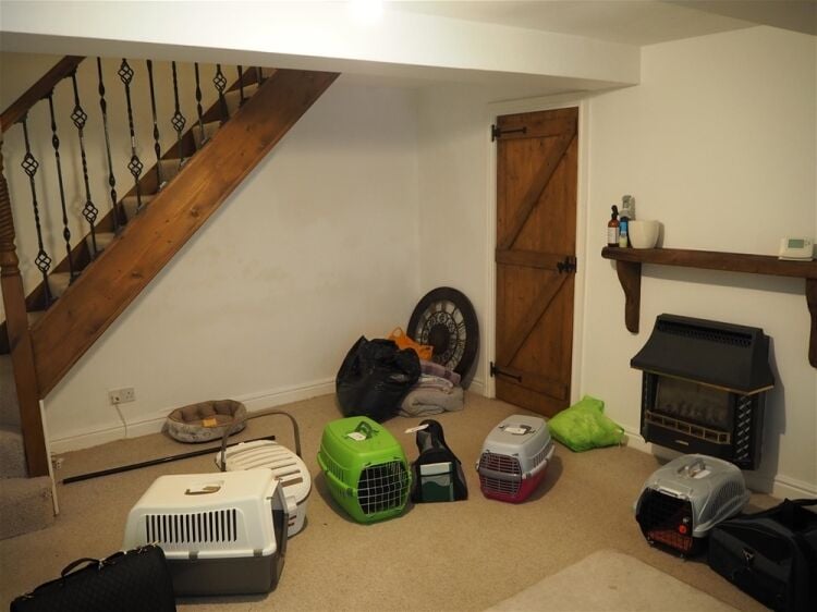 Kennels, Cattery & Equestrian businesses For Sale in Normanton Photo 11