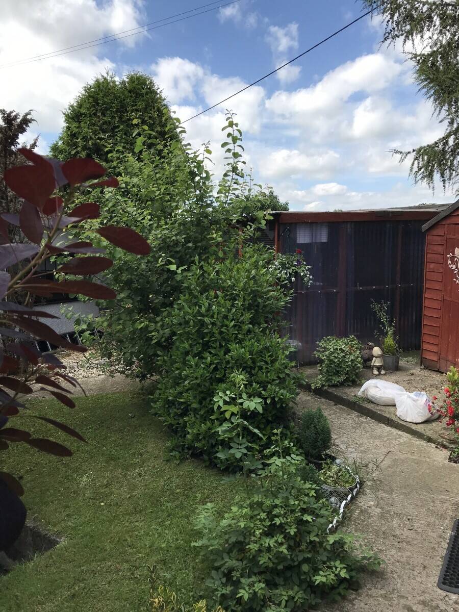 Kennels and cattery in Leicestershire with Accommodation