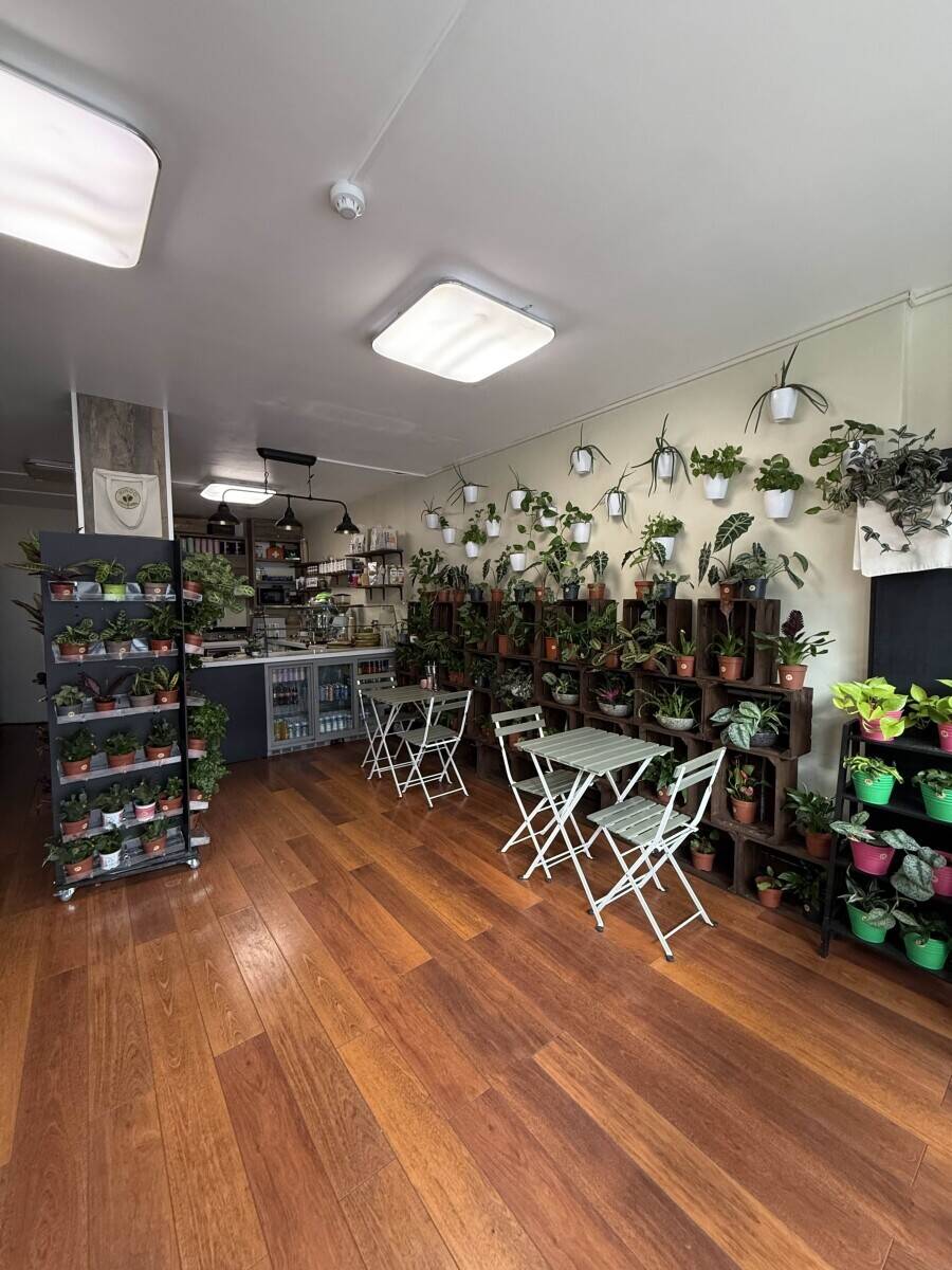 Profitable Plant Caf&eacute; In Highbury For SALE  - No business rates Photo 11