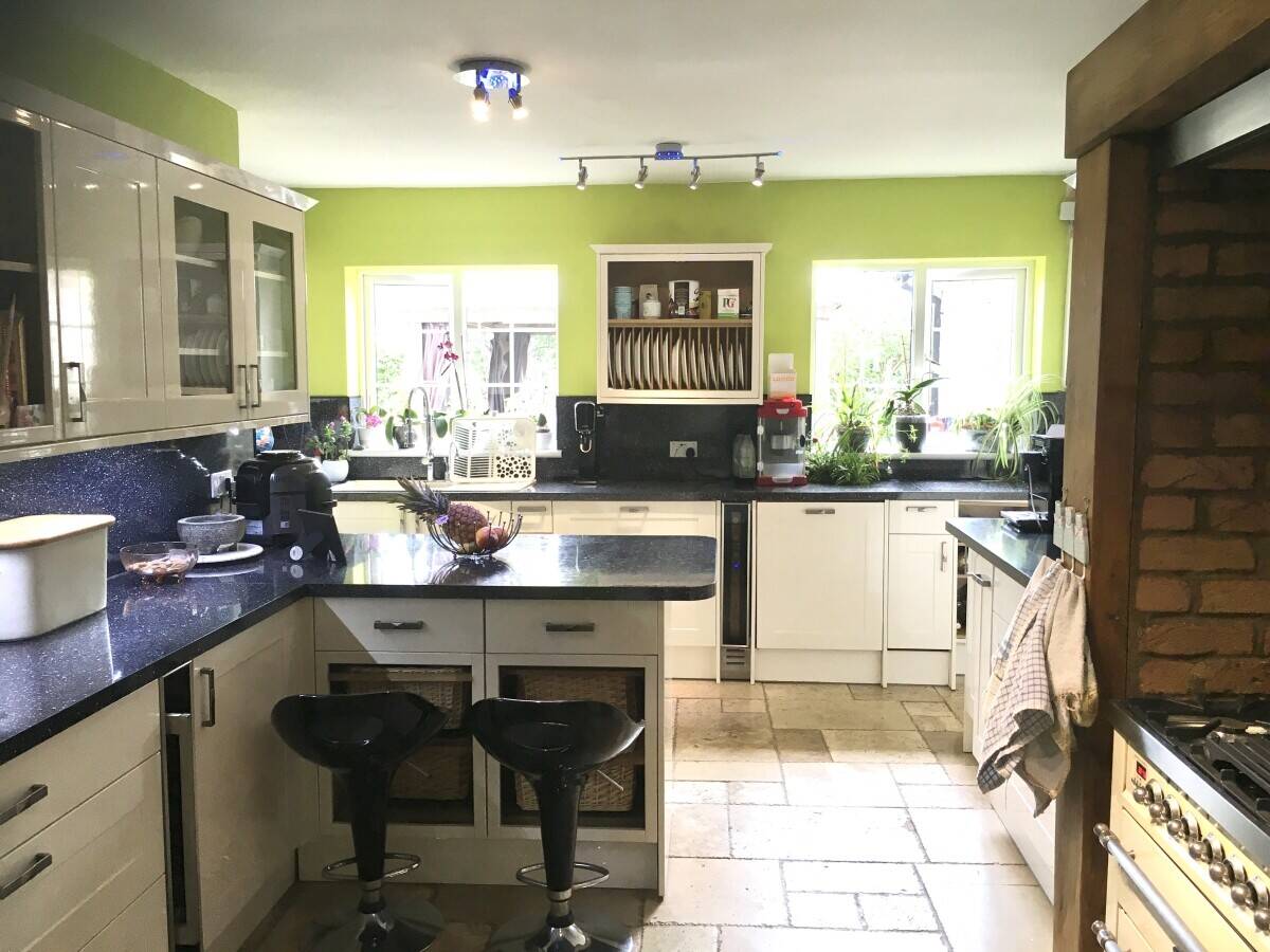 Boarding cattery in Desborough Northants Photo 11