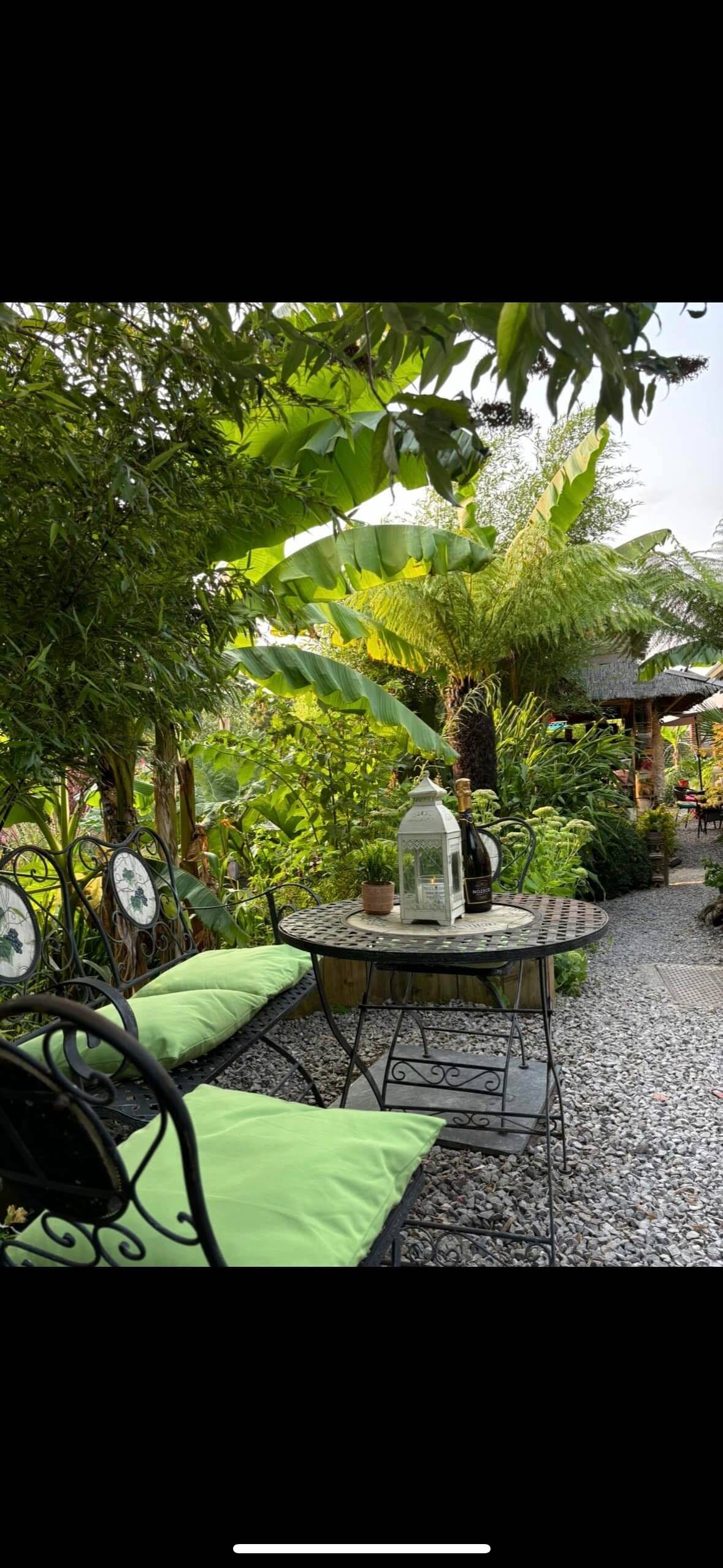 Garden centre and jungle cafe