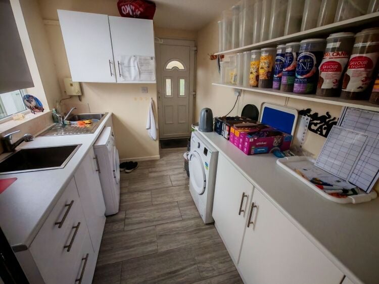 5-Star Licensed Cattery - Capacity for 30 Cats - Nottingham