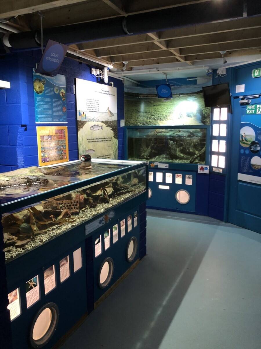 Award Winning & Unique Aquarium with Cafe & Gift Shop - North Devon Seaside Town