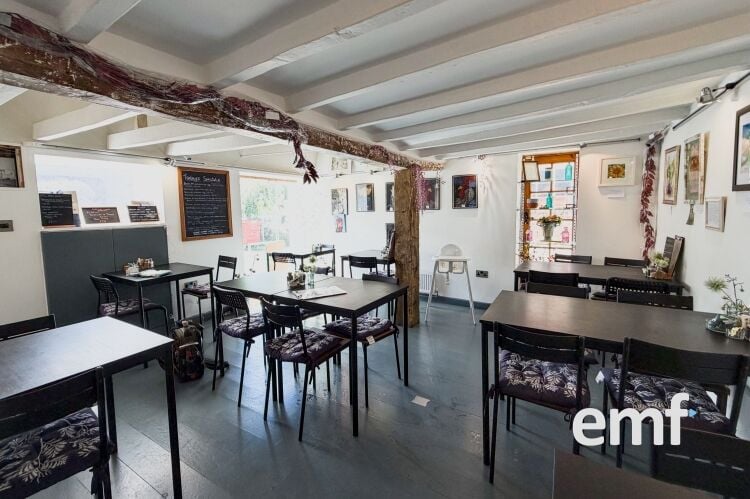 Freehold Commercial Investment