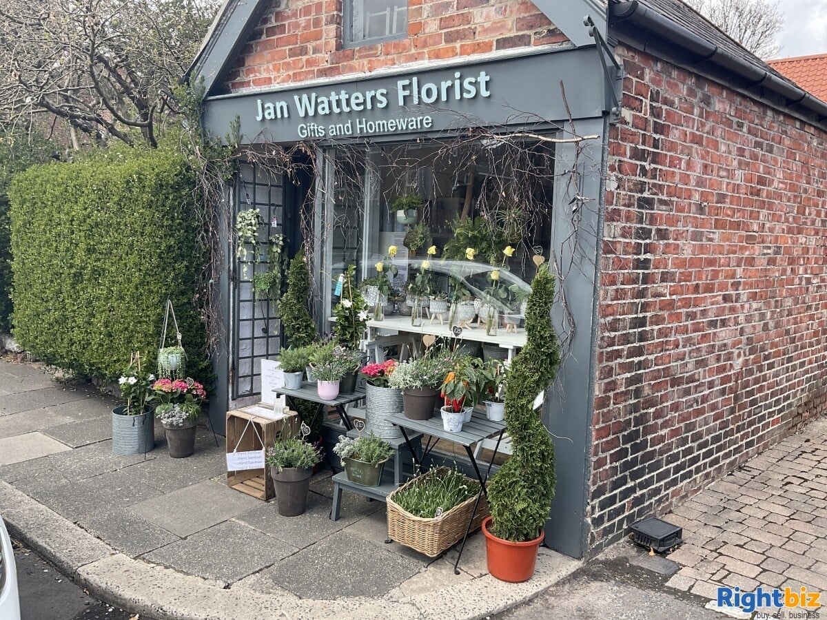 Well Established Florist / Giftware Shop