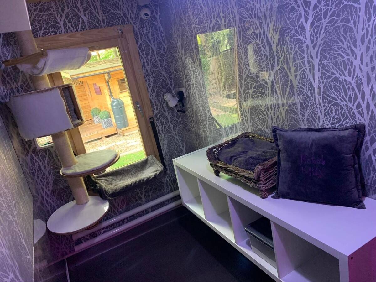 Luxury Five Star Boutique Cat Hotel and residence set in 3 acres