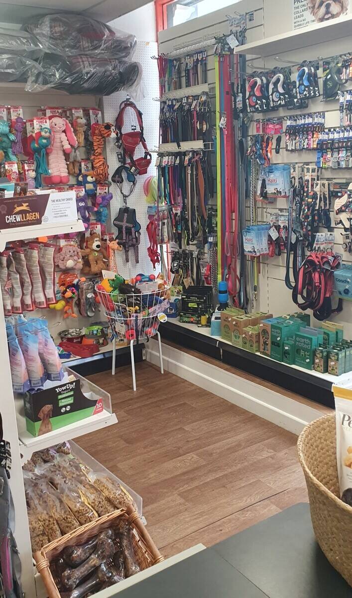 Pet Shop for sale Photo 12