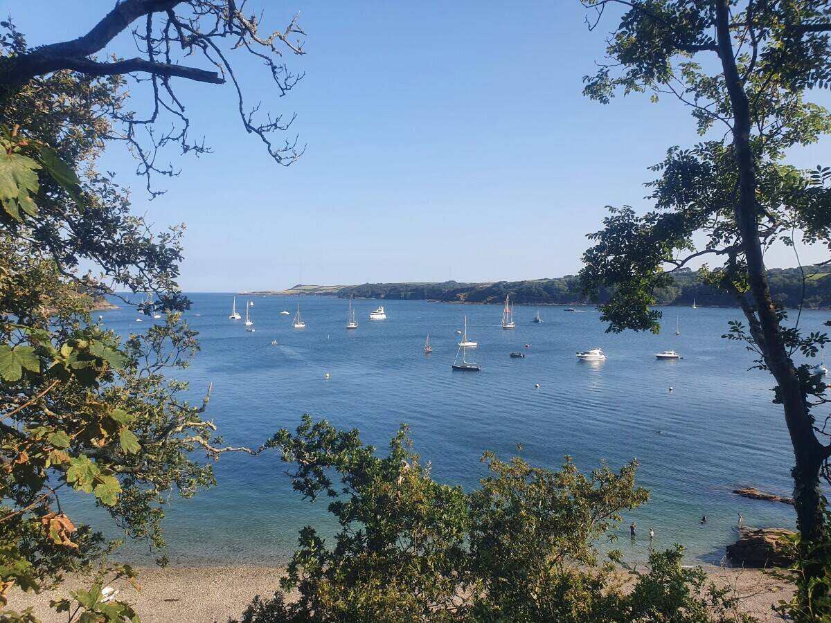 Yacht Charter business for sale in Falmouth, Cornwall Photo 10