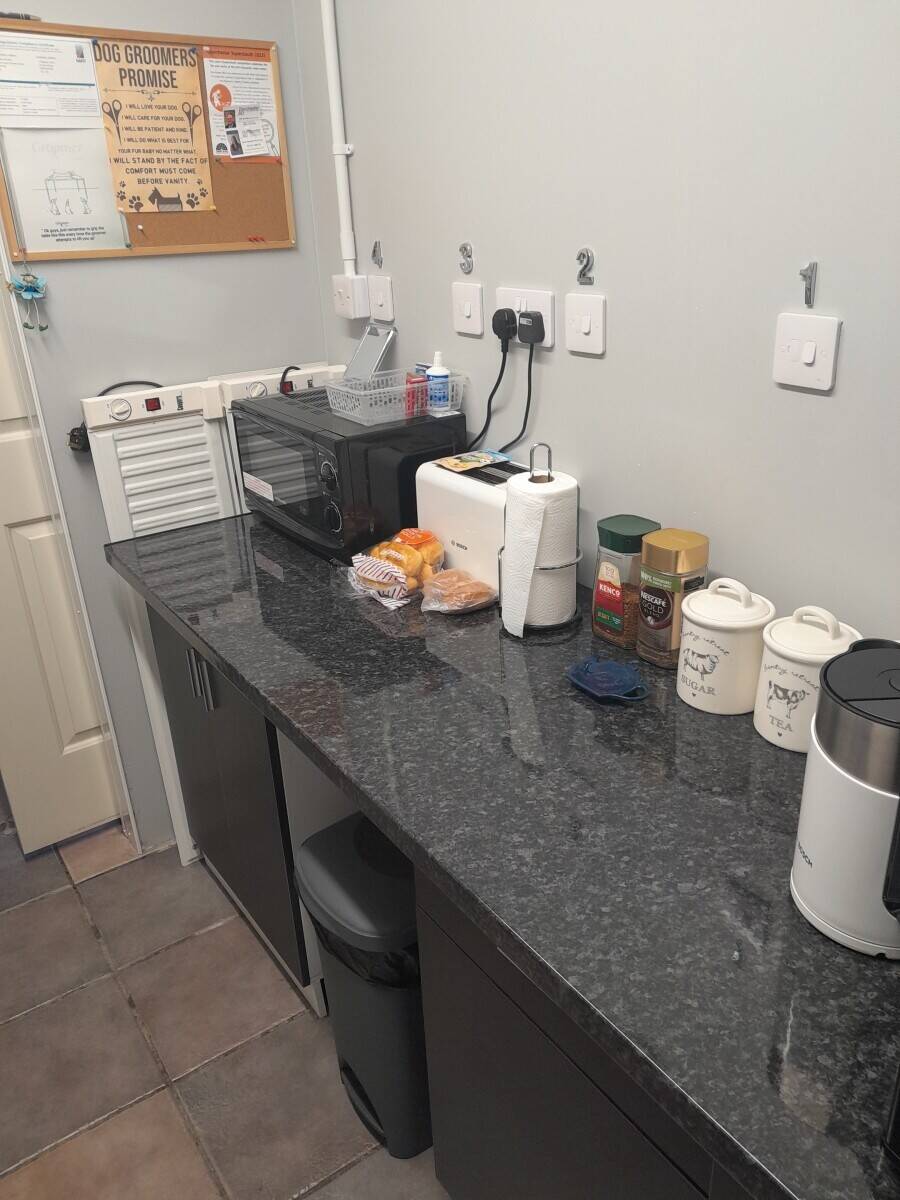 Doggie Wash and Grooming in Dorchester