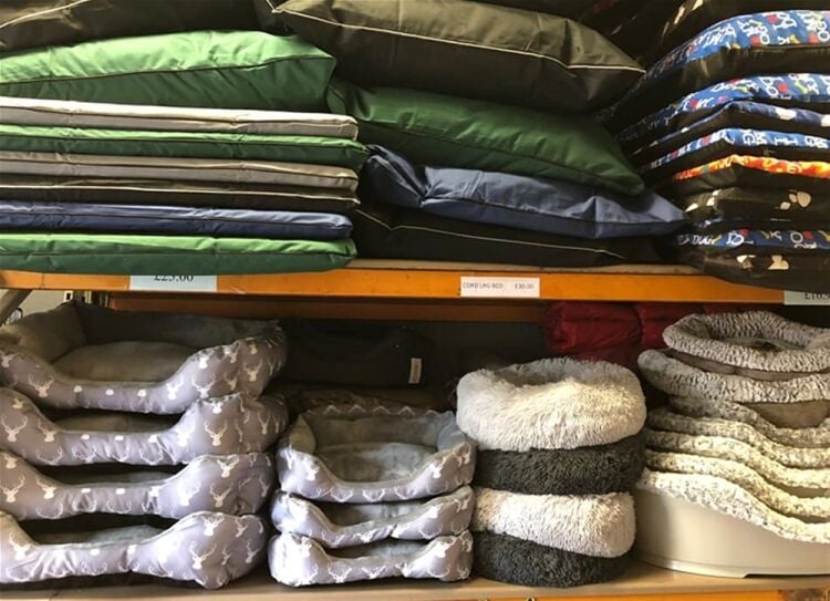 POPULAR WHOELSALER AND RETAILER Photo 12