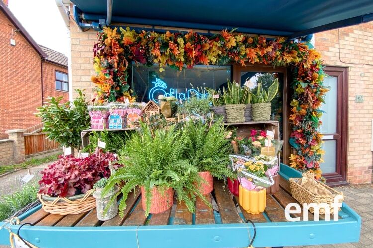 Established Florist Business
