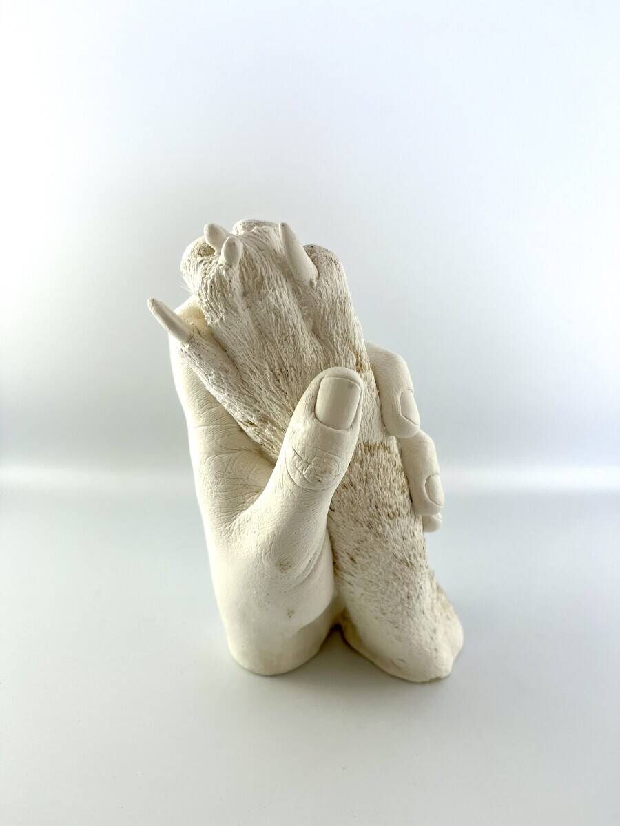 Highly Established Baby Casting Business (Chelmsford, Essex)