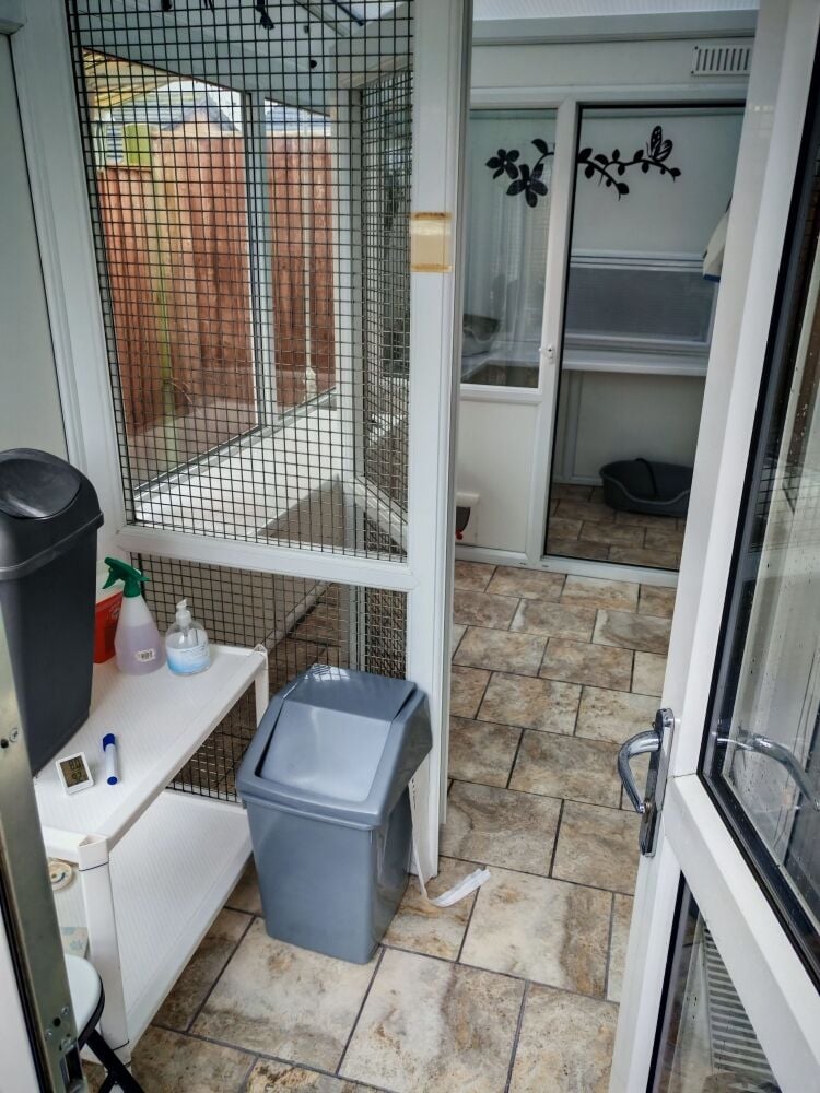 5-Star Licensed Cattery - Capacity for 30 Cats - Nottingham Photo 12