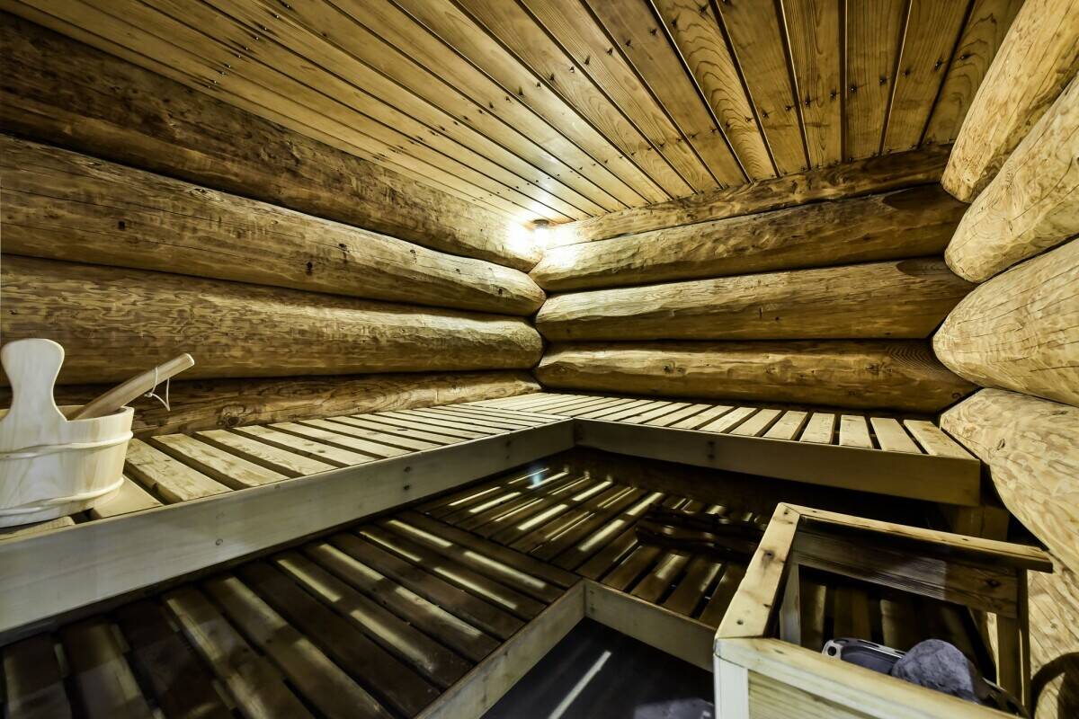 A Stunning Log Cabin with a Substantial Income Stream in The Cairngorm National Park (ref 1819)