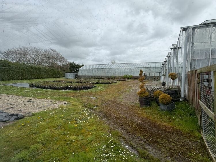 Family-run nursery and plant centre for sale in Mauchline East Ayrshire