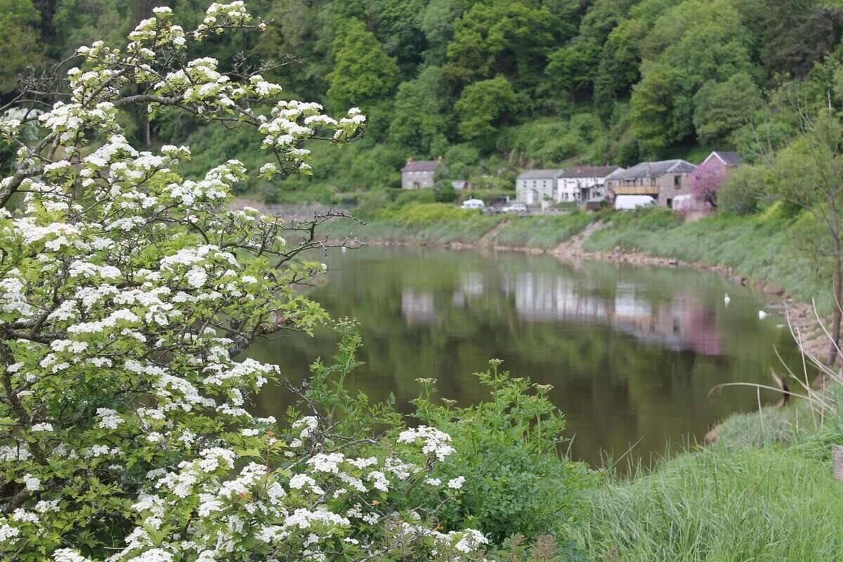 MONMOUTHSHIRE - RIVERSIDE VILLAGE HOTEL, EXCEPTIONAL INN OF ARCHITECTURAL APPEAL