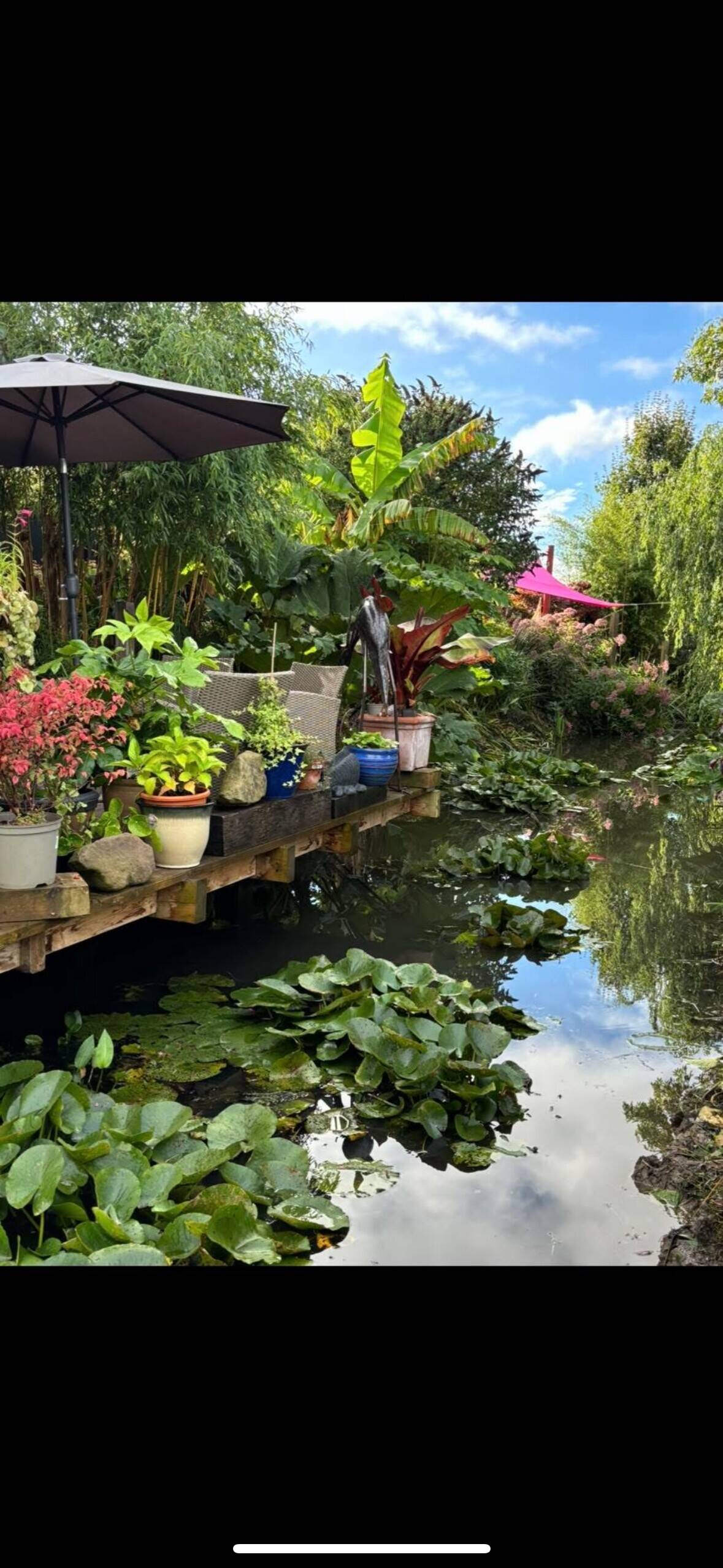 Garden centre and jungle cafe