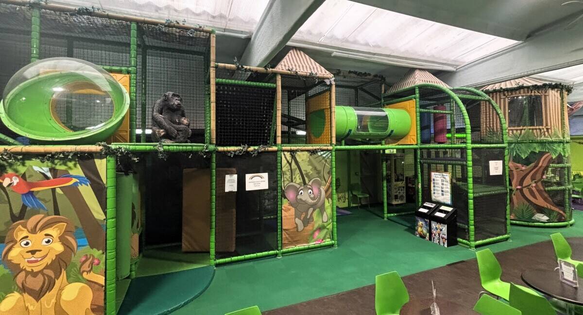 Large Jungle-Themed Soft Play Centre Playframe, Toddler Area, Baby Area, &ndash; Setup Ready for Relocation or New Venue! Photo 13