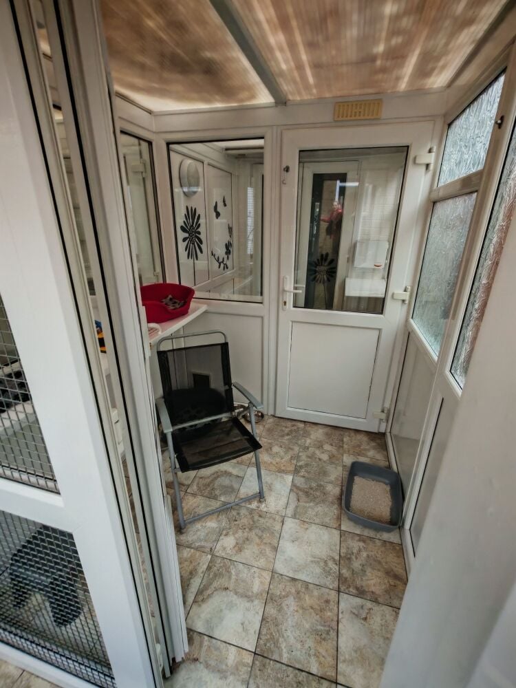 5-Star Licensed Cattery - Capacity for 30 Cats - Nottingham Photo 13